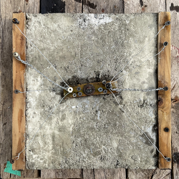 Nine Inch Neuron (The Honey Inside Your Hive)